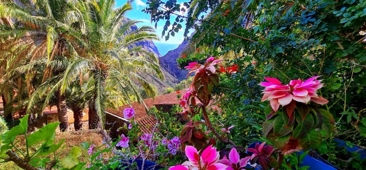 Ocean View Tenerife San Miguel de Abona Kültér fotó